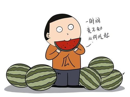 吃瓜不信瓜胡言乱语,胡言乱语的背后真相  第1张
